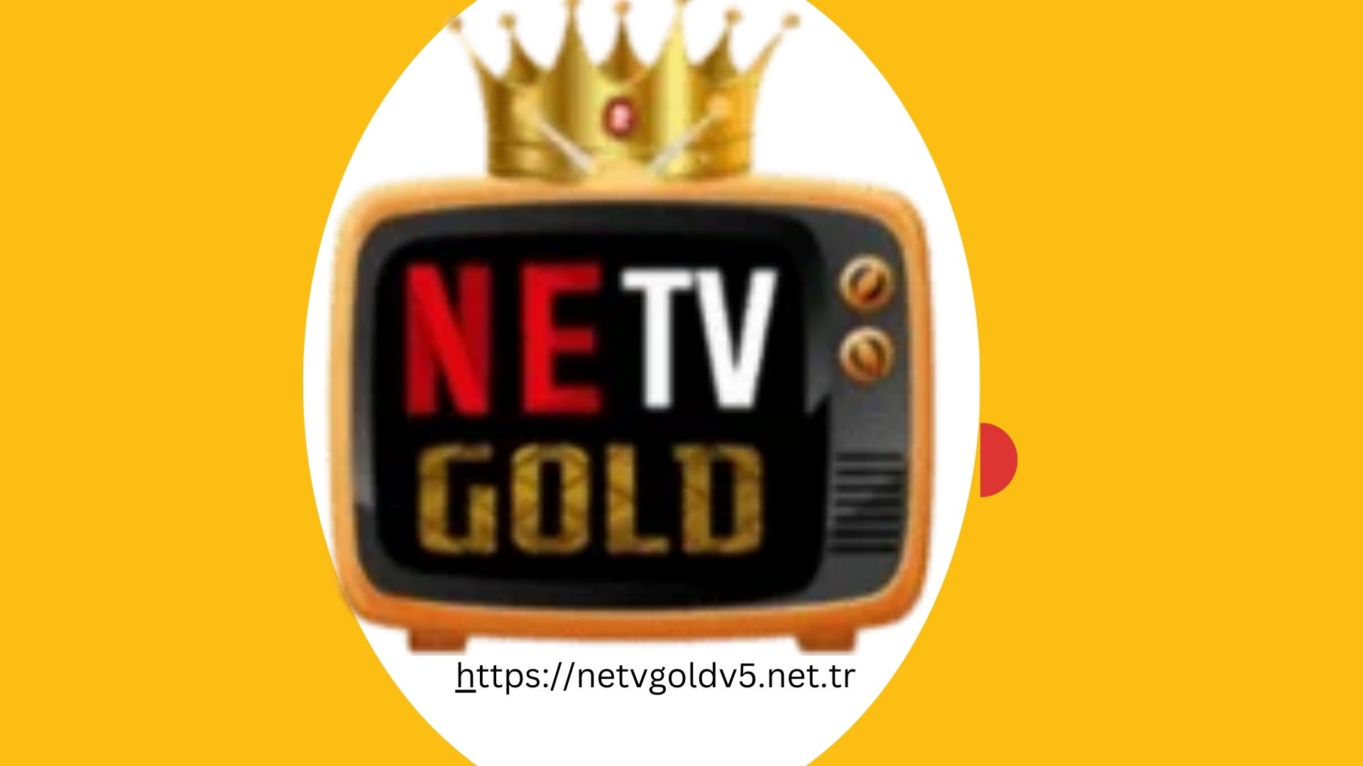 netvgoldv7